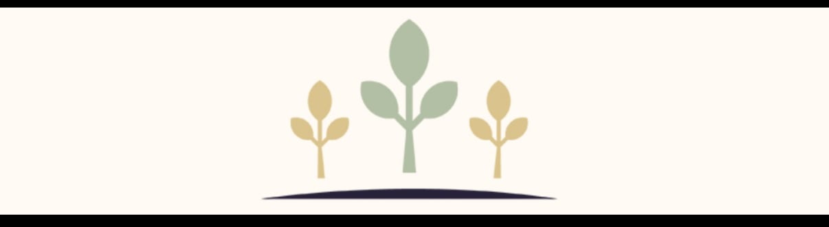 Ryan Furlong, CFP® | 401(k) & IRA Management, Education Planning, Investment Management