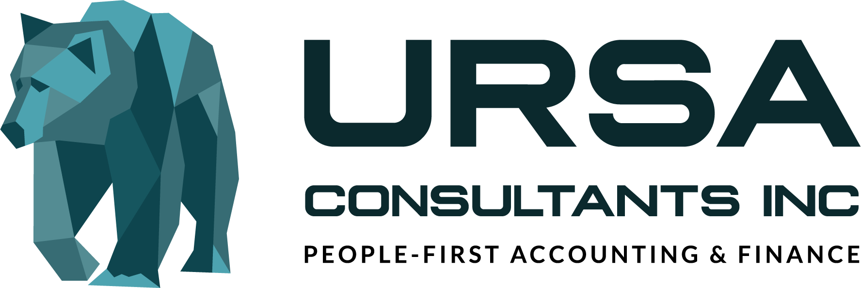 Ursa Consultants | Advisory Services, Bookkeeping, Fractional CFO Services