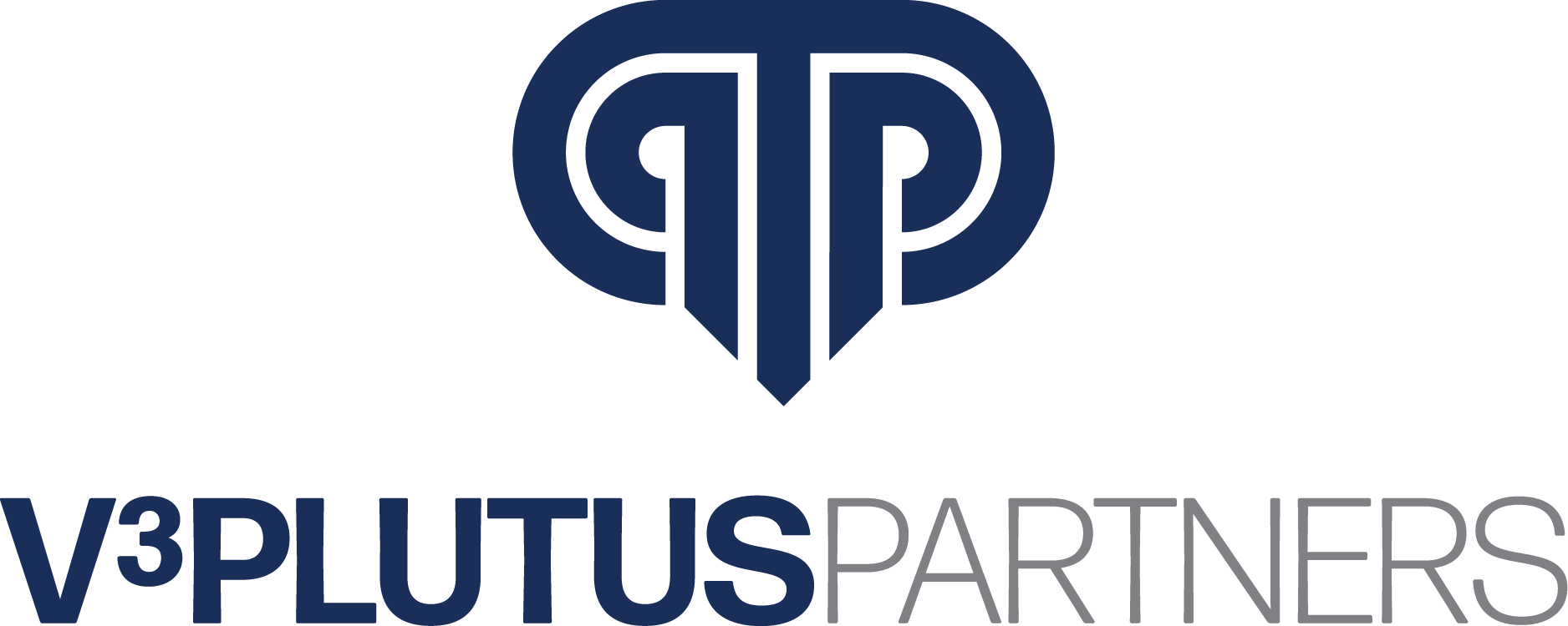 V3 Plutus Partners | Financial Strategy Development, Cash Flow Projections, Board & Investor Relations