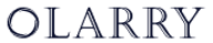 OLarry | Bookkeeping, International Tax Services, Tax Preparation