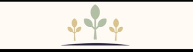 Ryan Furlong, CFP® | 401(k) & IRA Management, Education Planning, Investment Management